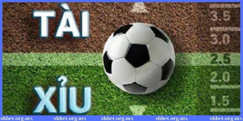 Cách đọc kèo tài xỉu cơ bản nhất cho tân thủ