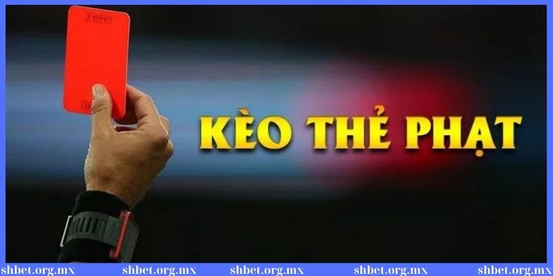 Khái niệm cơ bản về soi kèo thẻ phạt dành cho tân thủ