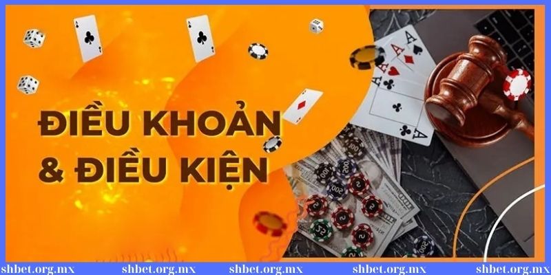 Nội dung về điều khoản & điều kiện nên biết